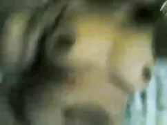 विशेष gros seins मूव ...