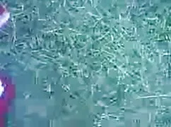 हर तरफ जा रहे अरबी स ...