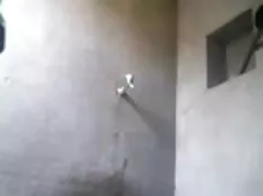 लिसा बीवीआर के लिए फ ...