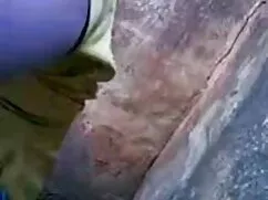 मोहक पूर्व प्रेमिका  ...