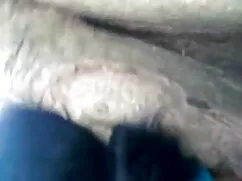 टेलर बारिश हिंदी में ...