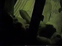 फेडरिका ज़ाररी हिंदी ...