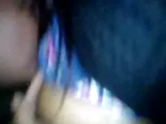 सुगिहारा अनरी - परी  ...