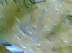 अमेरी इचिनोज फुल सेक ...