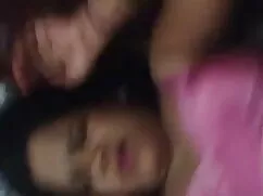 गधा यातायात फ़र्स्टट ...