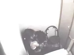 2 गर्म लड़कियां सेक् ...