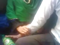 एलाइन बनाम लेक्स एक् ...