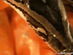 शौकिया उसके प्रेमी क ...