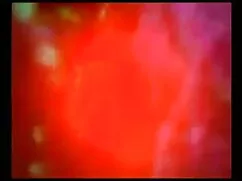 इंडोनेशिया- मेमेक मै ...