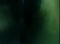 सींग का बना बिल्ली प ...