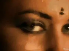 एना मेगामी-बाय पैक्स ...