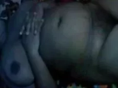 छोटे बालों वाले टेरे ...