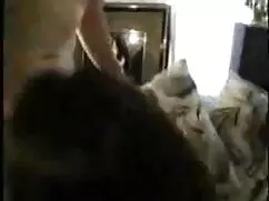 बुक्का हॉट सेक्सी मू ...