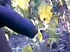 लूट का सेक्सी वीडियो ...