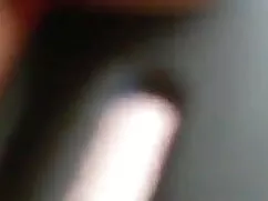 वेश्या गृहिणी हॉलीवु ...