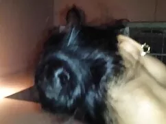 एक अच्छा समय पंजाबी  ...