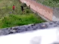 कौगर साक्षात्कार के  ...