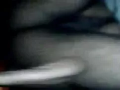 टीपीसी द्वारा हैंडजो ...