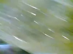 संचिका समलैंगिक जुड़ ...