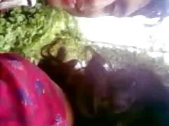 गोरा किशोर गुदा सेक् ...