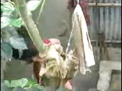 घर का बना, तेजस्वी य ...