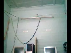 परिपक्व रेडहेड आम्रप ...