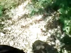 लिफ्ट सेक्स। सेक्सी  ...