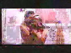 कार बीवीआर सेक्सी मू ...