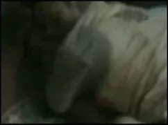 मूर्खतापूर्ण सेक्सी  ...