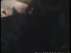 गधा यातायात इवाना ची ...