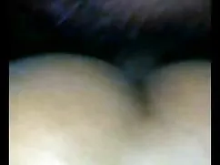 अविश्वसनीय दौर गधा ब ...