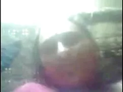 एक जंगली तैली त्रिगु ...