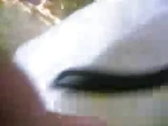 दोस्तों बॉलीवुड की स ...