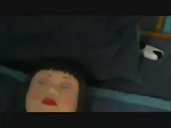 जर्मन ब्रूडर फुल हिं ...