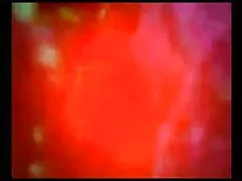 किंकी सेक्सी वीडियो  ...