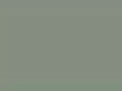 पति बीबीसी पर साउथ क ...