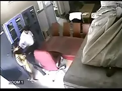 स्ट्रैपलेस डिल्डो दर ...